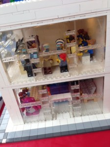 photo 3 (5)