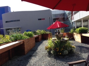 Google herb garden
