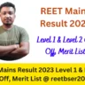 REET Mains Result